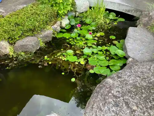 妙林寺(福島県)