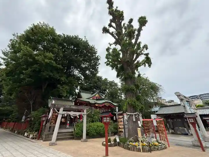 川越八幡宮の{uncategorized: "未分類", other: "その他", undefined: "問題あり", building: "その他建物", grave: "お墓", sacred_gate: "鳥居", guardian: "狛犬", statue: "像", buddha: "仏像", history: "歴史", nature: "自然", garden: "庭園", animal: "動物", pagoda: "塔", temizu: "手水舎", mountain_gate: "山門・神門", sanctuary: "本殿・本堂", subordinate: "末社・摂社", art: "芸術", scenery: "景色", jizo: "地蔵", ema: "絵馬", goshuin: "御朱印", omikuji: "おみくじ", items: "授与品その他", amulet: "お守り", goshuincho: "御朱印帳", eats: "食事", festival: "お祭り", votive_dance: "神楽", shichigosan: "七五三参", wedding: "結婚式", experience: "体験その他", initially: "初詣", around: "周辺", anti_infection: "感染症対策"}