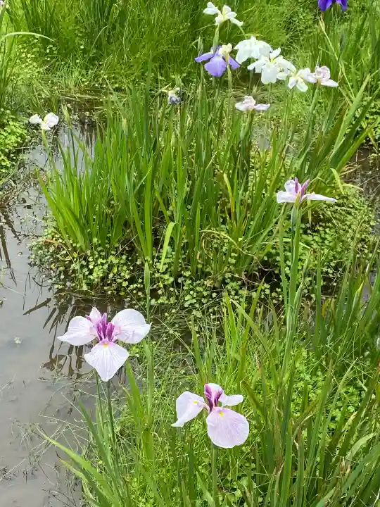 本土寺(千葉県)