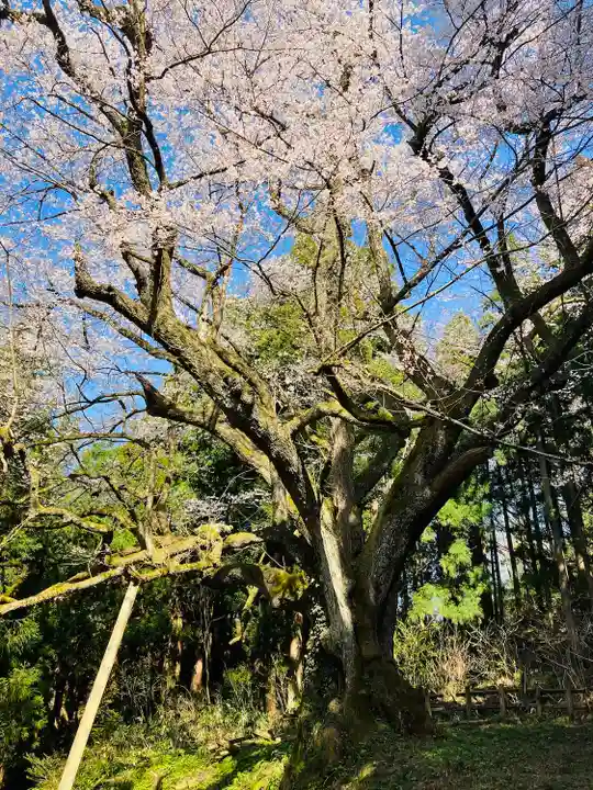 風巻神社奥社(新潟県)