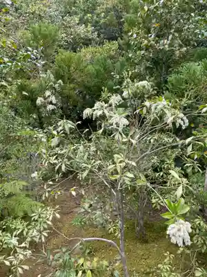 光悦寺(京都府)