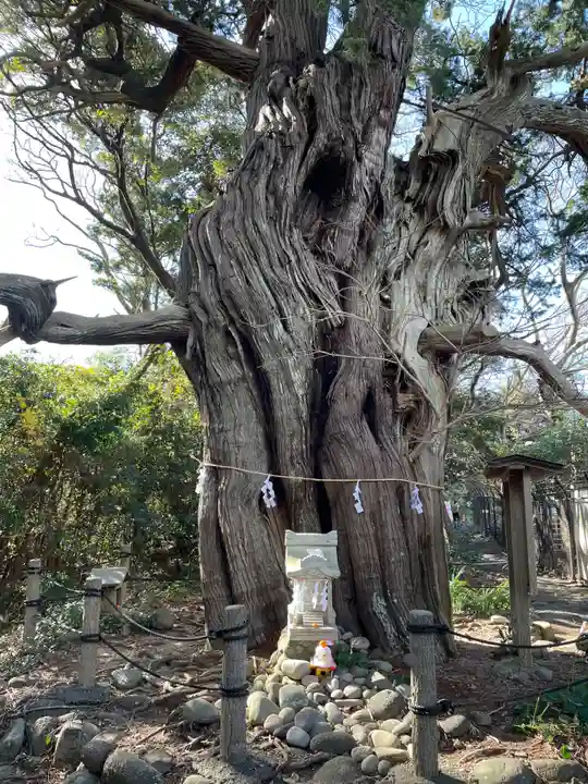 大瀬神社(静岡県)