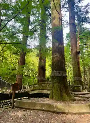 洞慶院(静岡県)