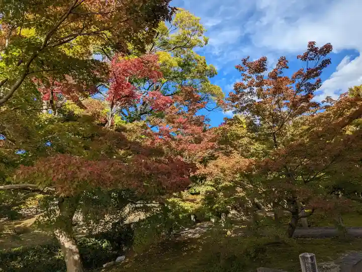 智積院(京都府)