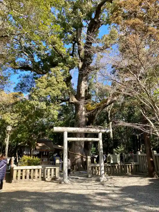 伊弉諾神宮(兵庫県)
