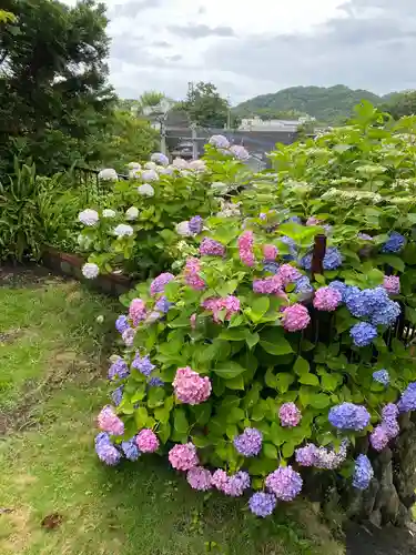 妙顕寺の庭園