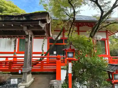 鞍馬寺(京都府)