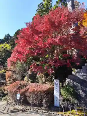 太龍寺(徳島県)