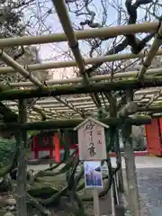 春日大社の庭園