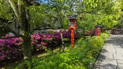 安井金比羅宮(京都府)