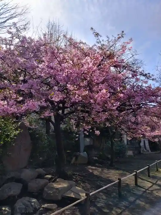 新井薬師(梅照院)(東京都)