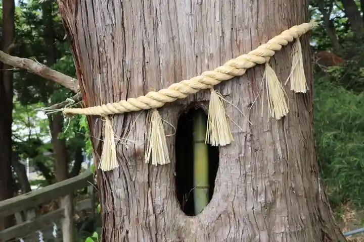 阿久津「田村神社」(郡山市阿久津町)旧社名:伊豆箱根三嶋三社の自然