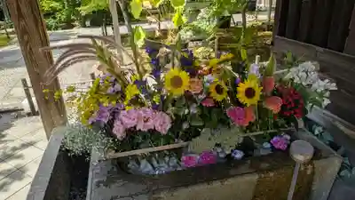 勝林寺(京都府)