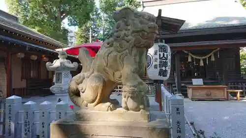 星川杉山神社の狛犬