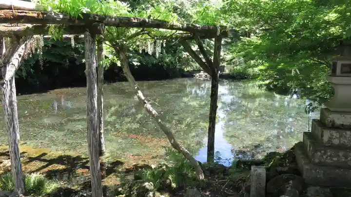 富士山本宮浅間大社の庭園