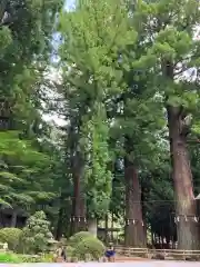 河口浅間神社(山梨県)