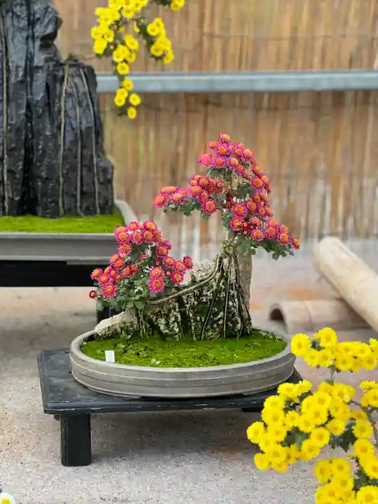 橿原神宮(奈良県)