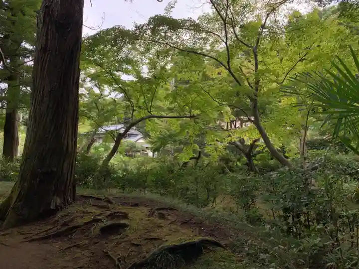 弁天神社(千葉県)