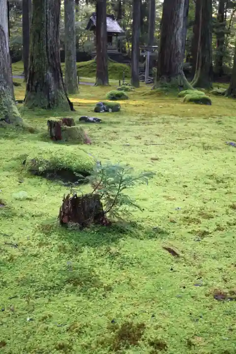 平泉寺白山神社(福井県)