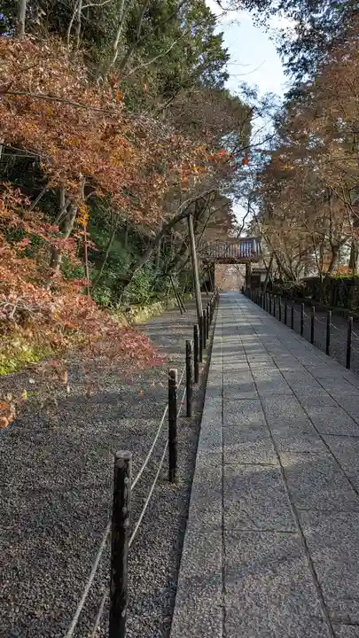 光明寺(粟生光明寺)(京都府)