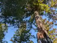 丹生神社(丹生川上神社中社摂社)の{uncategorized: "未分類", other: "その他", undefined: "問題あり", building: "その他建物", grave: "お墓", sacred_gate: "鳥居", guardian: "狛犬", statue: "像", buddha: "仏像", history: "歴史", nature: "自然", garden: "庭園", animal: "動物", pagoda: "塔", temizu: "手水舎", mountain_gate: "山門・神門", sanctuary: "本殿・本堂", subordinate: "末社・摂社", art: "芸術", scenery: "景色", jizo: "地蔵", ema: "絵馬", goshuin: "御朱印", omikuji: "おみくじ", items: "授与品その他", amulet: "お守り", goshuincho: "御朱印帳", eats: "食事", festival: "お祭り", votive_dance: "神楽", shichigosan: "七五三参", wedding: "結婚式", experience: "体験その他", initially: "初詣", around: "周辺", anti_infection: "感染症対策"}