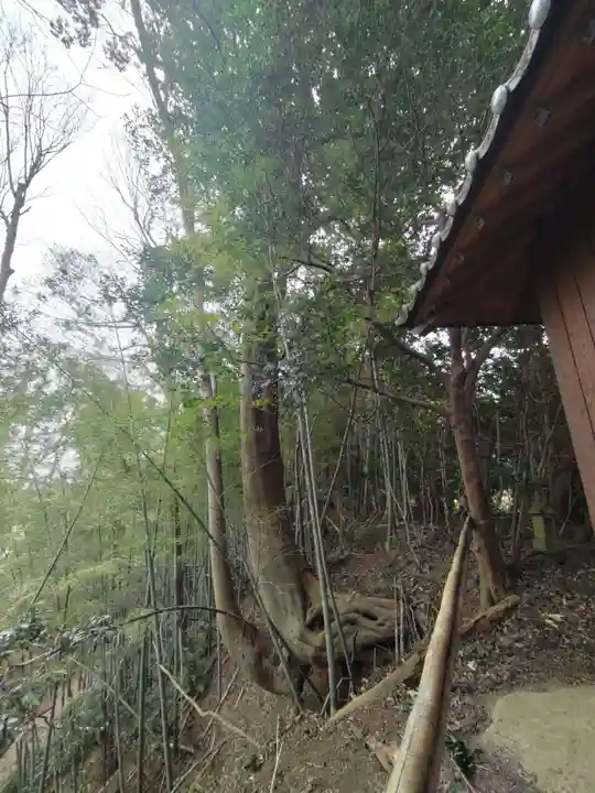 足尾山神社の自然