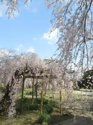 慶龍寺(茨城県)