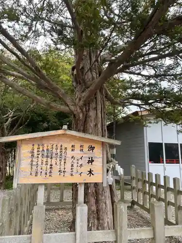 湯倉神社の自然