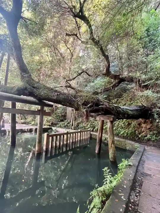 鹿島神宮の{uncategorized: "未分類", other: "その他", undefined: "問題あり", building: "その他建物", grave: "お墓", sacred_gate: "鳥居", guardian: "狛犬", statue: "像", buddha: "仏像", history: "歴史", nature: "自然", garden: "庭園", animal: "動物", pagoda: "塔", temizu: "手水舎", mountain_gate: "山門・神門", sanctuary: "本殿・本堂", subordinate: "末社・摂社", art: "芸術", scenery: "景色", jizo: "地蔵", ema: "絵馬", goshuin: "御朱印", omikuji: "おみくじ", items: "授与品その他", amulet: "お守り", goshuincho: "御朱印帳", eats: "食事", festival: "お祭り", votive_dance: "神楽", shichigosan: "七五三参", wedding: "結婚式", experience: "体験その他", initially: "初詣", around: "周辺", anti_infection: "感染症対策"}