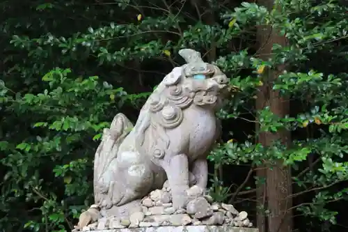 菅船神社の狛犬