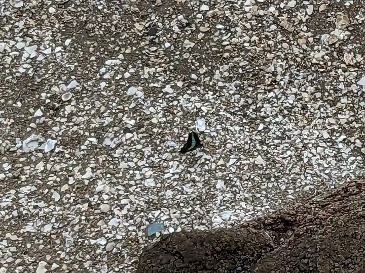 八百富神社(愛知県)