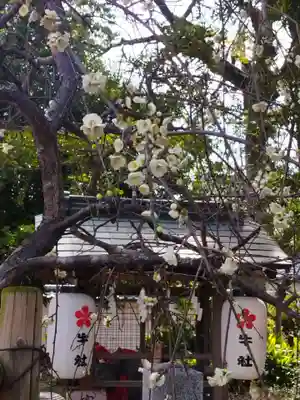 佐太神社(佐太天神宮)(大阪府)