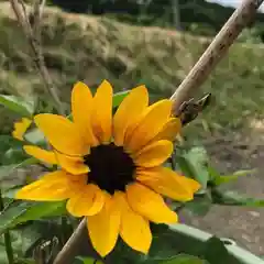 高司神社〜むすびの神の鎮まる社〜(福島県)