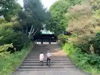 湯島聖堂の庭園