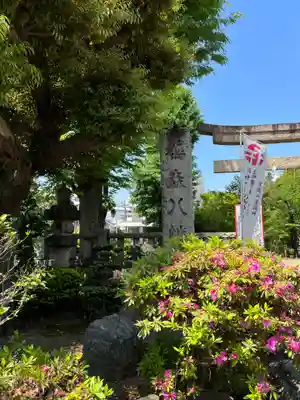 鳩森八幡神社のその他建物