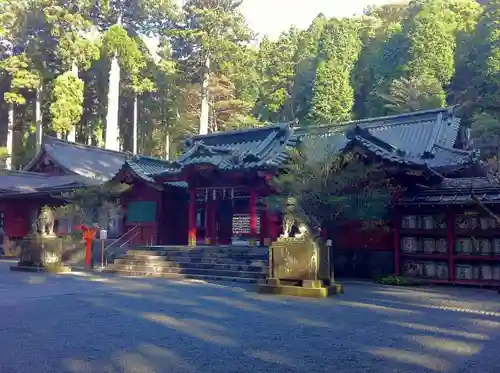 箱根神社の本殿