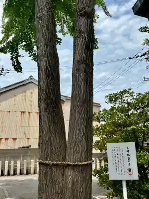 杉杜白髭神社(福井県)