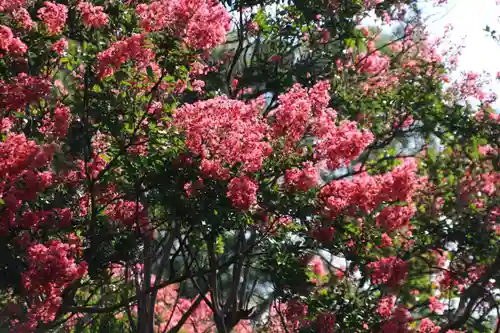 延命寺の庭園