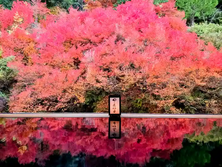 安國寺(兵庫県)