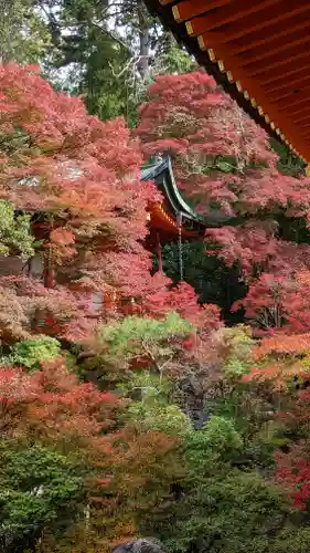 毘沙門堂門跡の自然