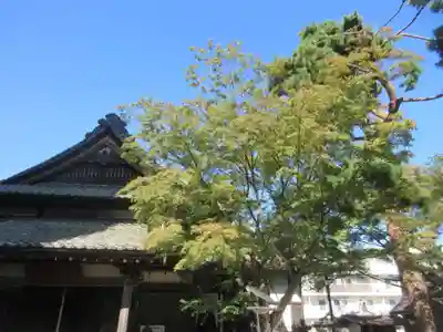 仙岳院(宮城県)