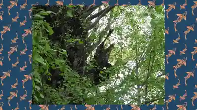 飛木稲荷神社(東京都)