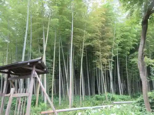 英勝寺(神奈川県)