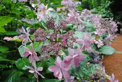 二本松寺(茨城県)