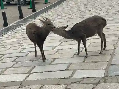 東大寺戒壇院戒壇堂(奈良県)