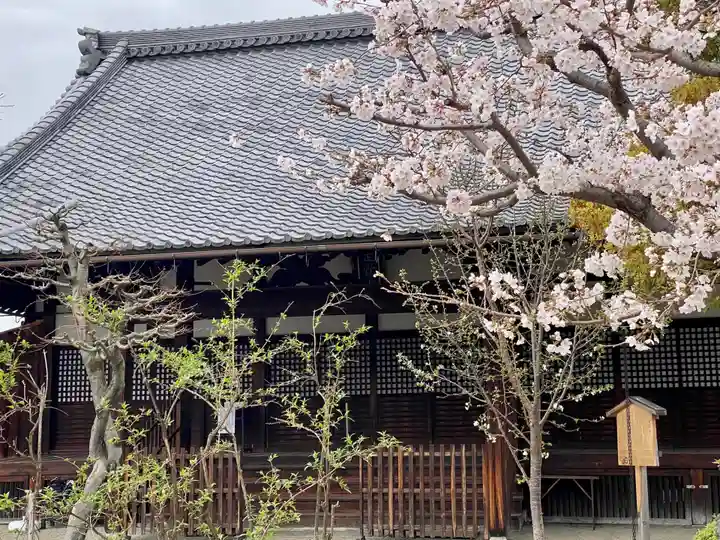 實相寺(実相寺) (京都府)