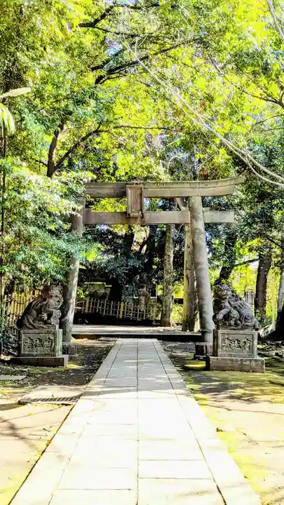 渋谷氷川神社の鳥居