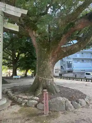 諏訪神社(福岡県)