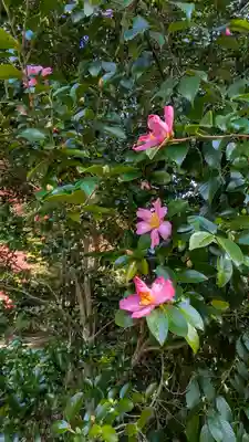 神護寺(京都府)