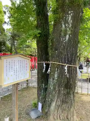 大垣八幡神社(岐阜県)